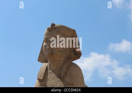 Serapeum and Pompey`s Pillar and the sphinx. Stock Photo